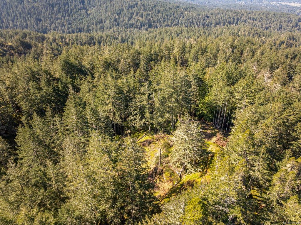 listing image 16048415849163163440