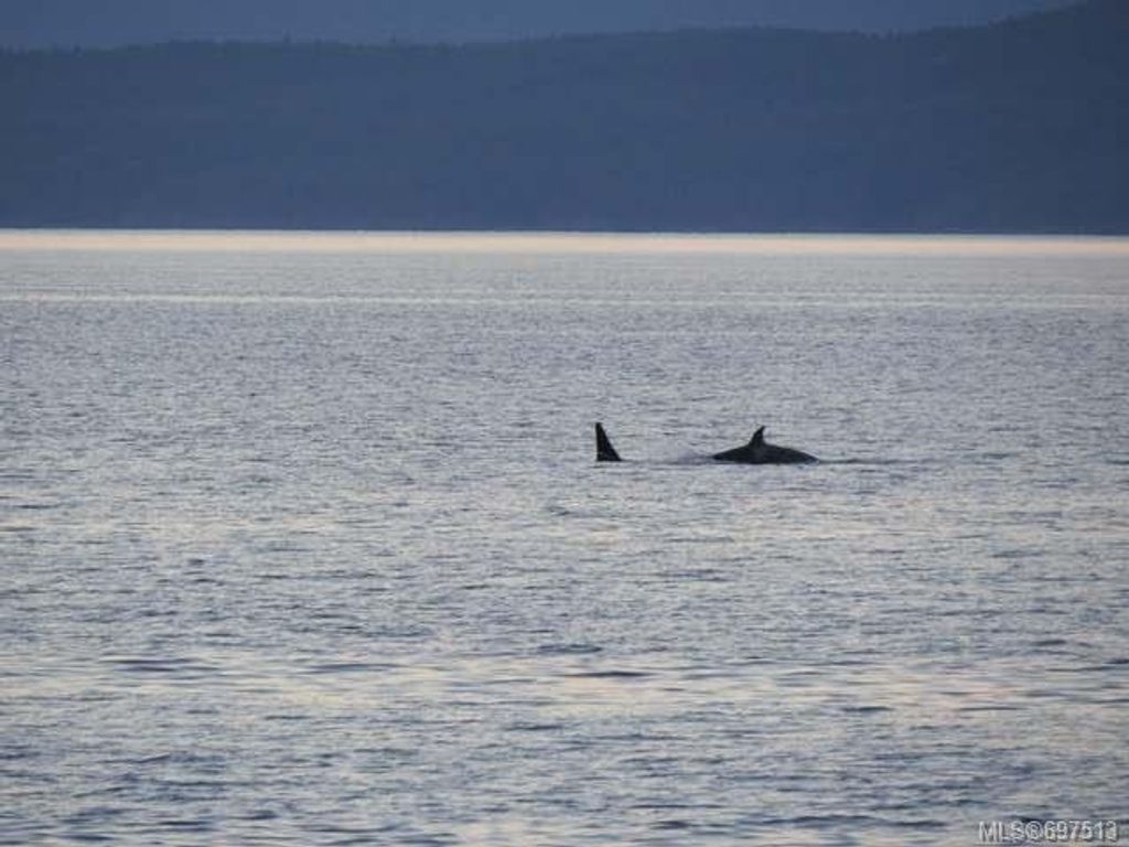 listing image 16046479301652403311