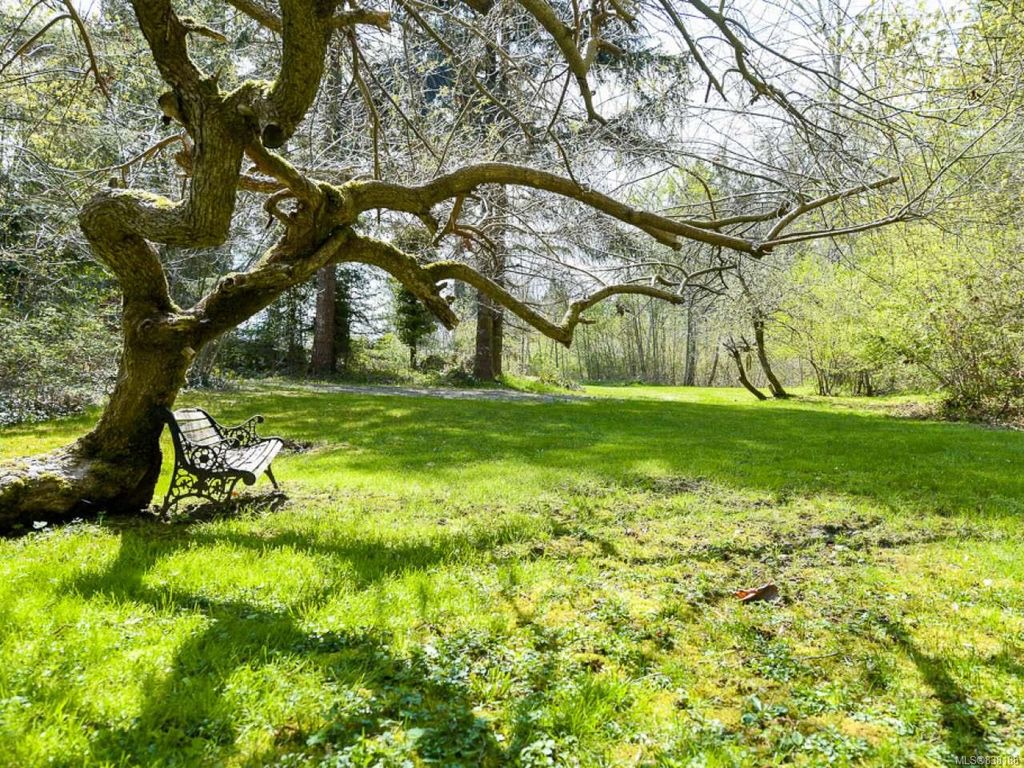 listing image 16043450862667221342