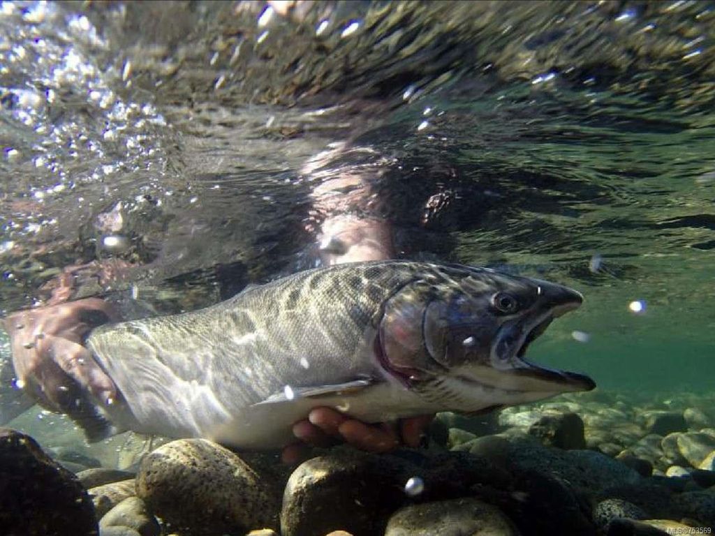 listing image 16046621642654583432