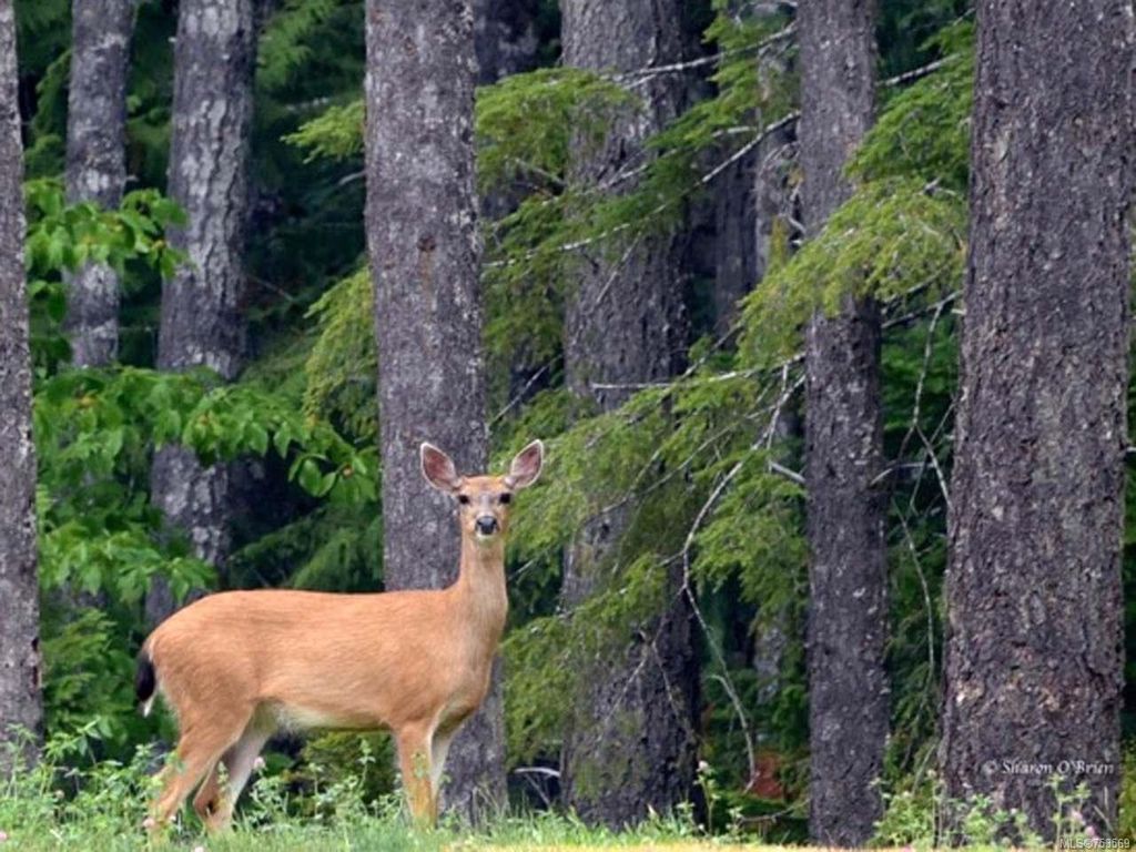 listing image 16046469188135343552