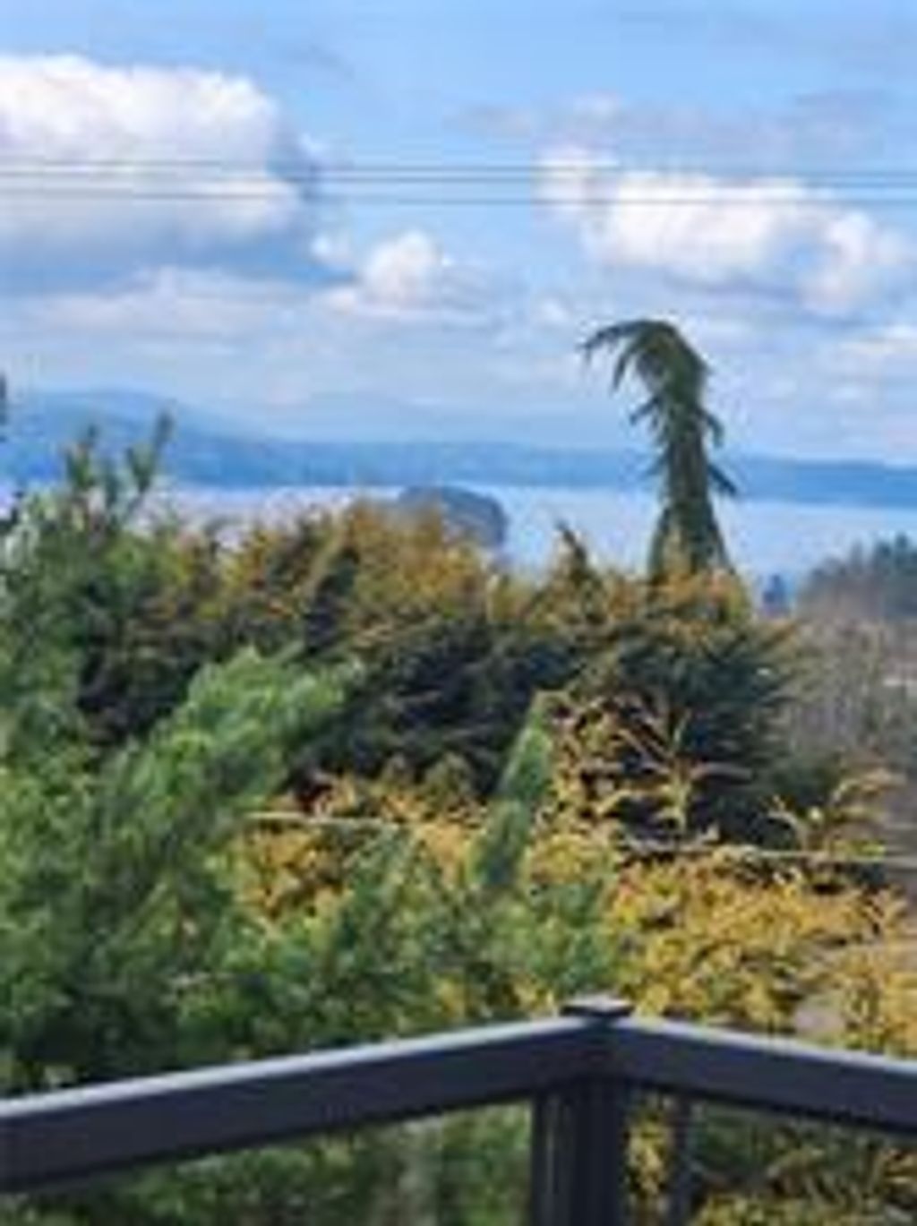listing image 16045816798147085785