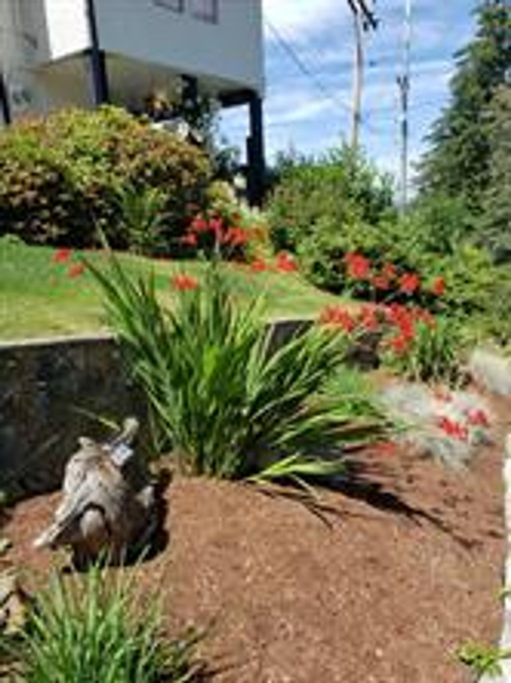 listing image 16043195420041141446