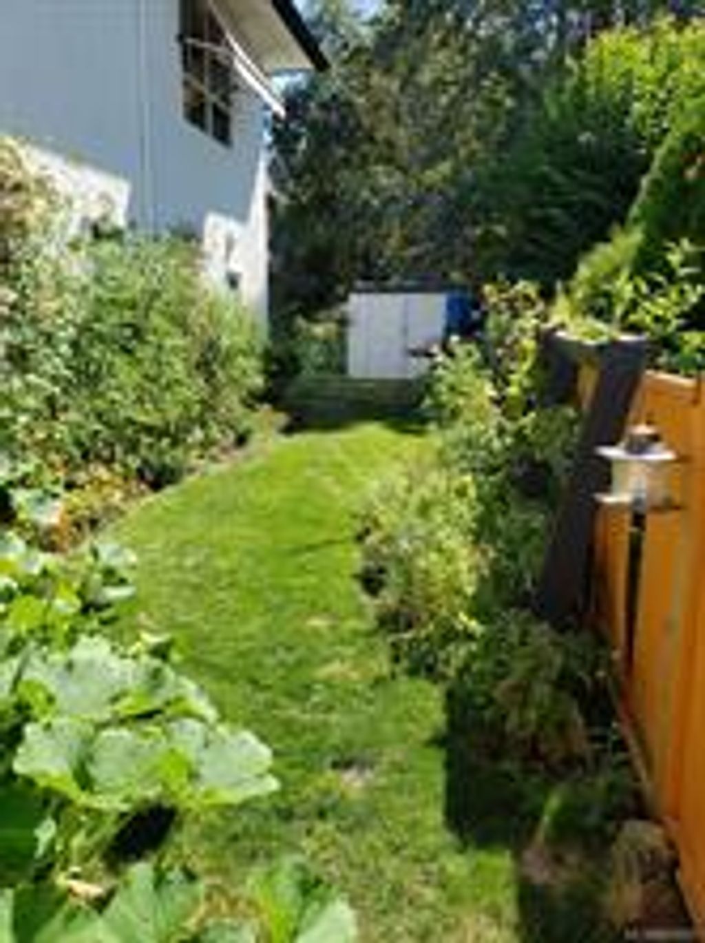listing image 16042460844320398608