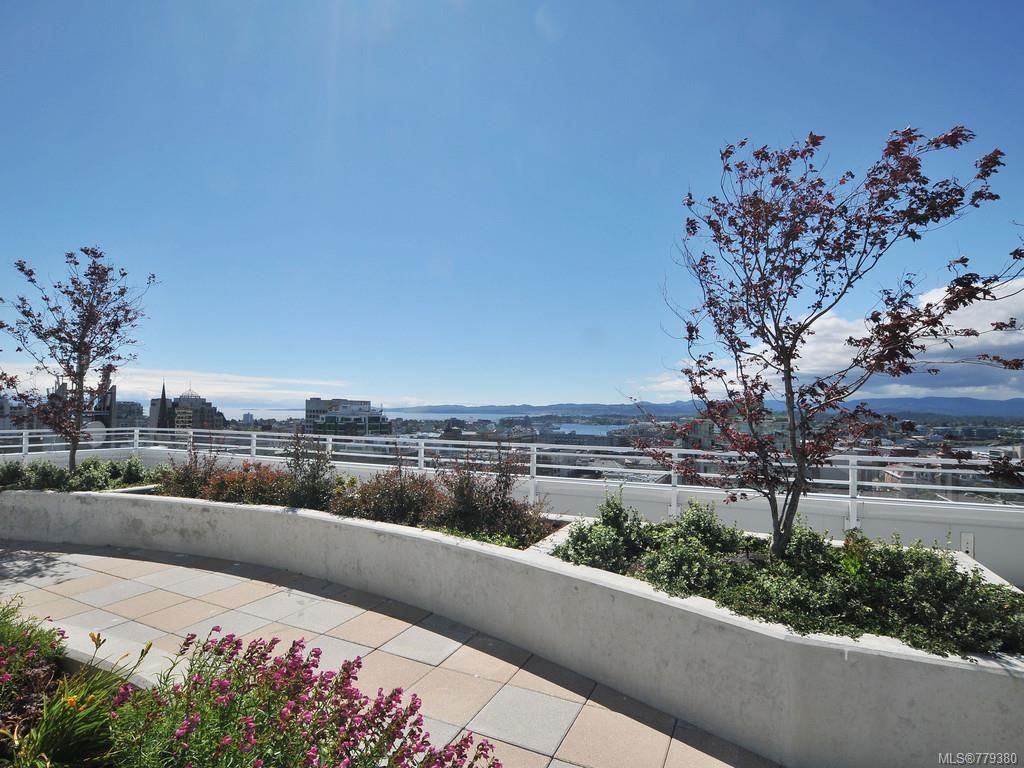 listing image 16048251776094008298