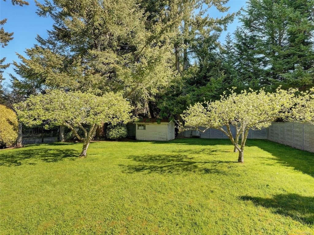 listing image 16044334584736912758