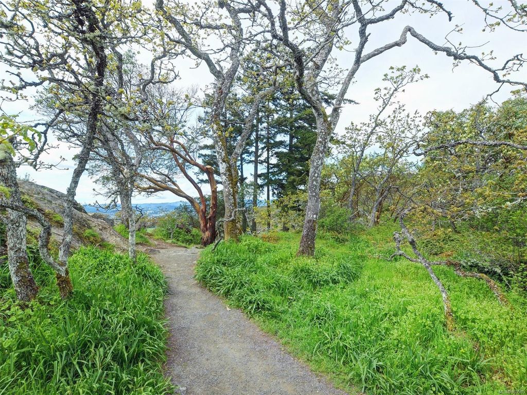 listing image 16043440096939229216