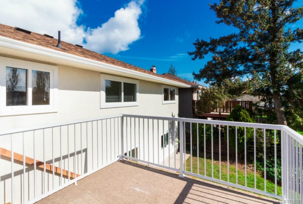 listing image 16042559426955236006
