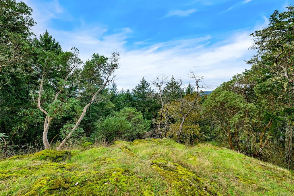 listing image 16048922902353738366