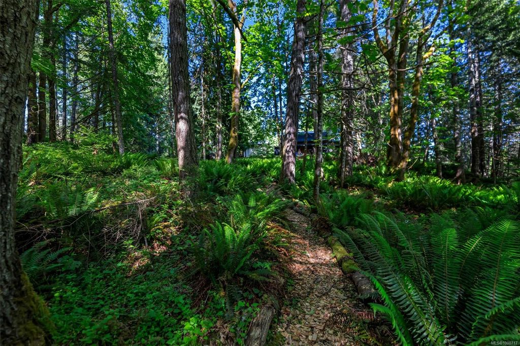 listing image 16046167038065944114