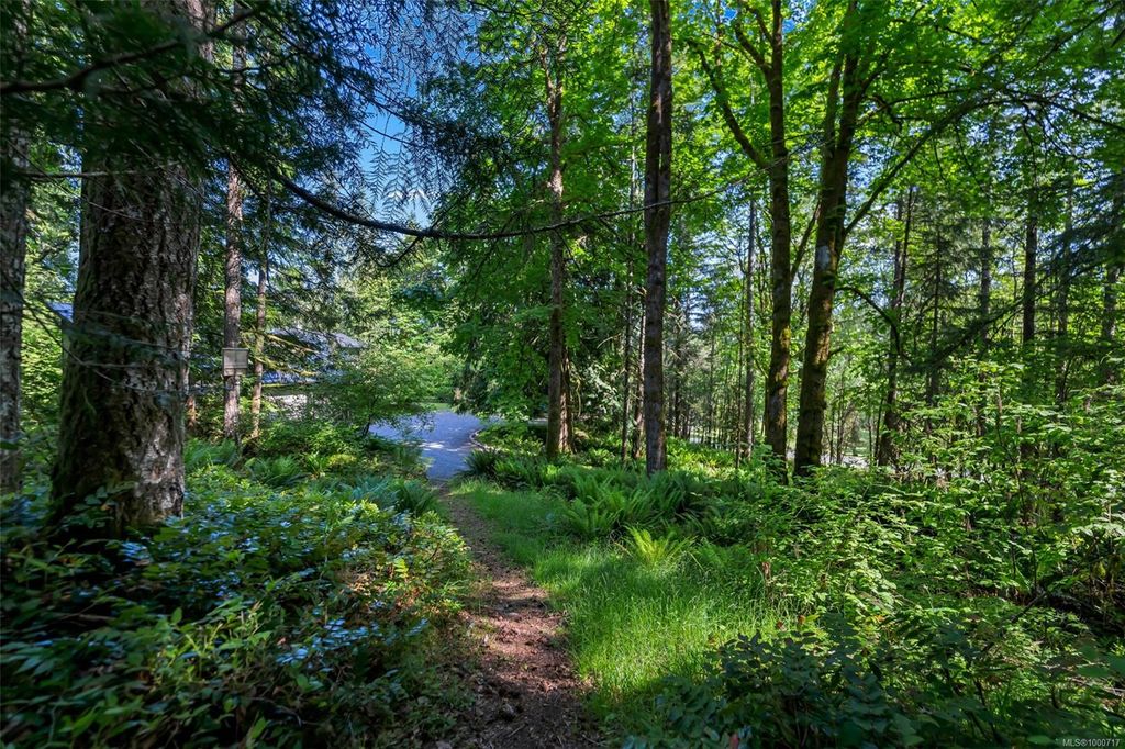 listing image 16044472853058439959