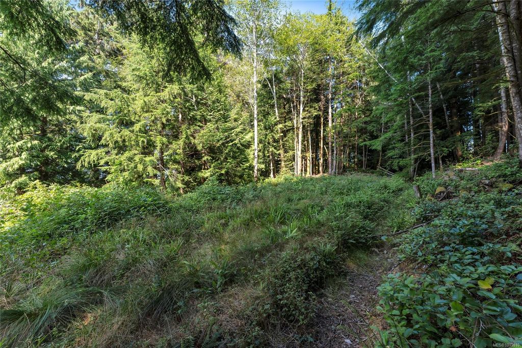 listing image 16049561549568866073