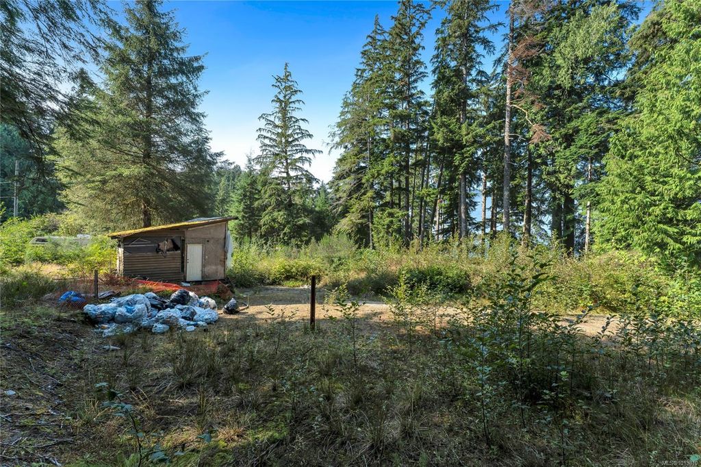 listing image 16046374640194083385