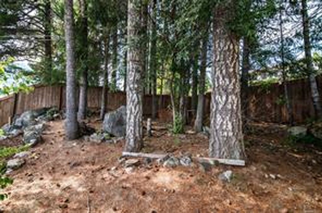 listing image 16045942995674846354