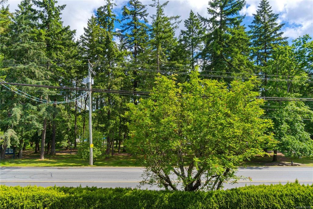 listing image 16041629475476057174