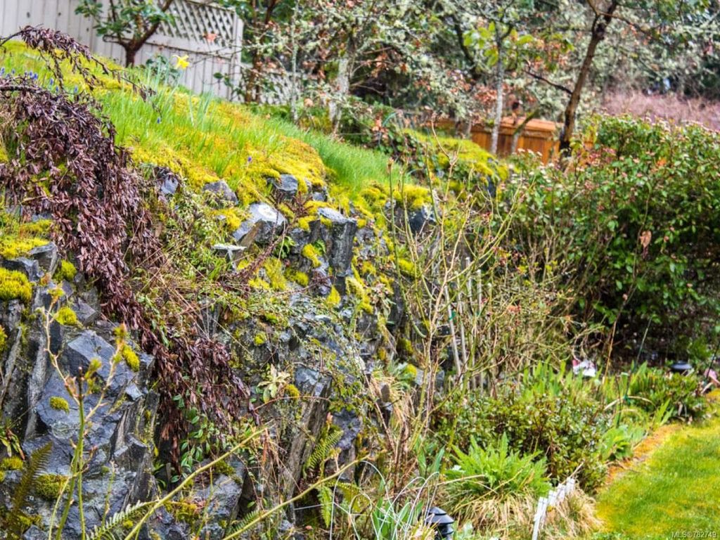listing image 16041203677000287446