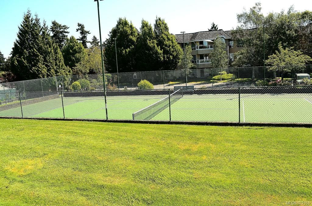 listing image 16041731654558983826