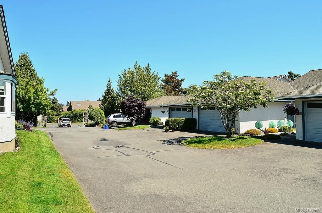 listing image 16042929110501003449