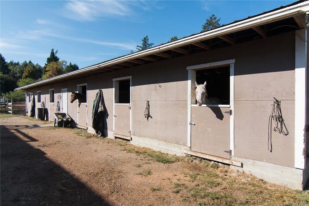listing image 16041212385066929531