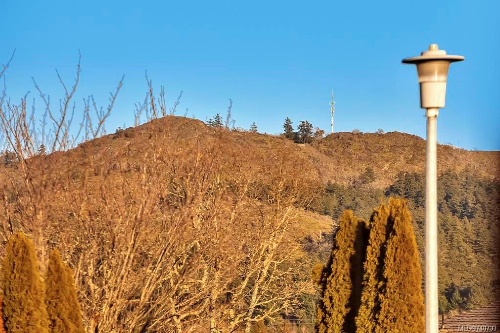 listing image 16040021436336735898