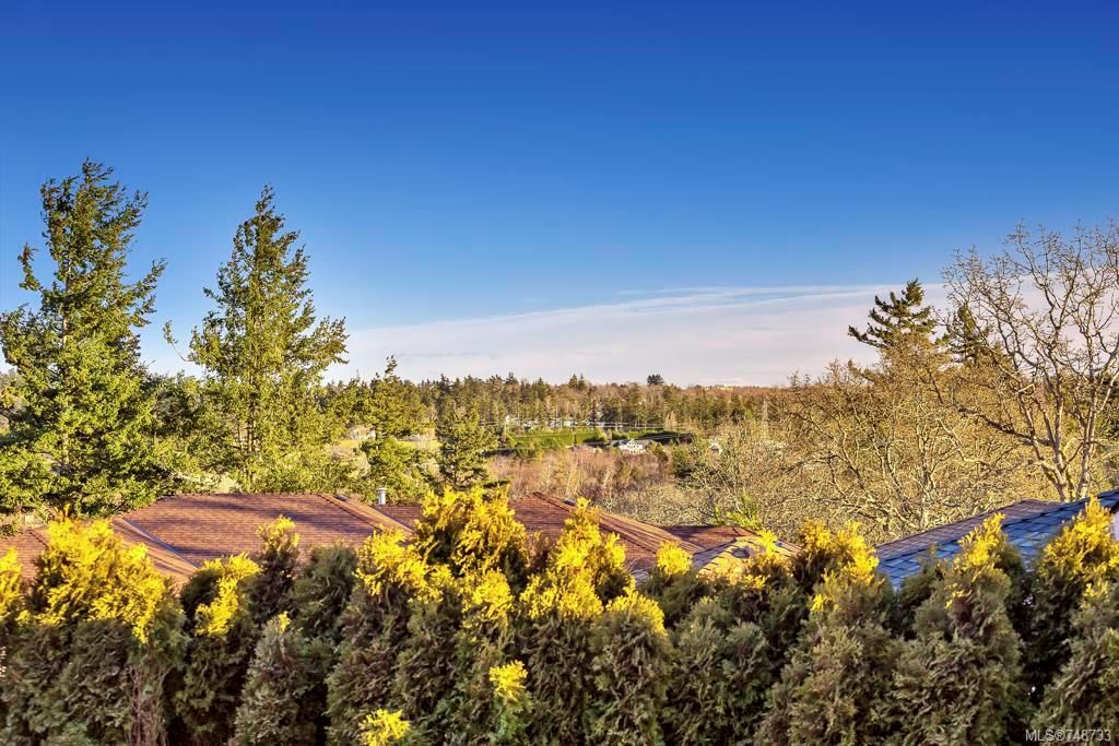 listing image 16042380536644178225