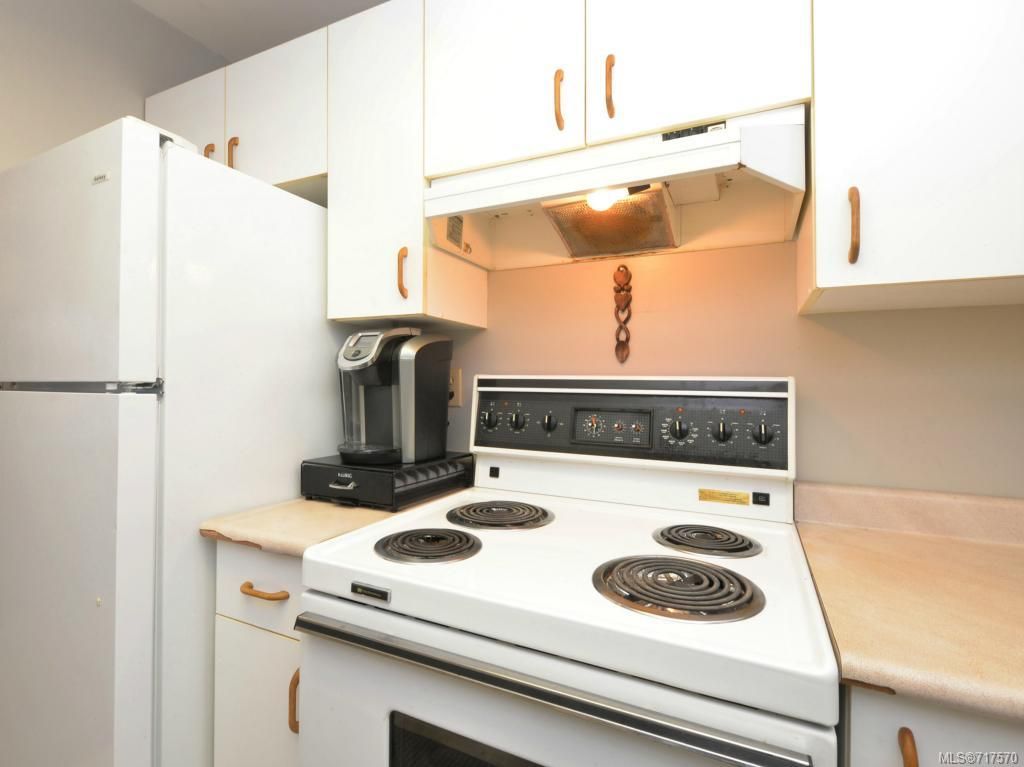 listing image 16042655537966754322
