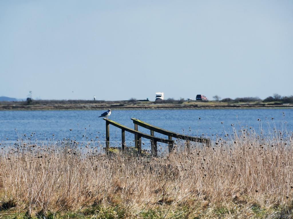 listing image 16043380589041