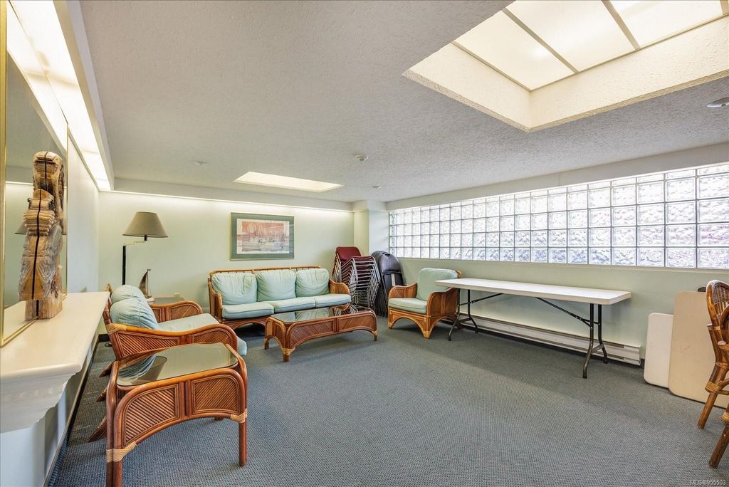 listing image 16046542815254852456