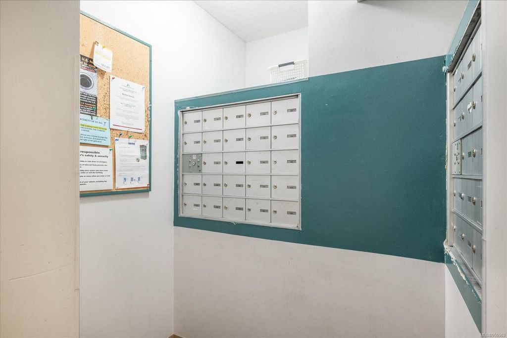 listing image 16047128132110505419