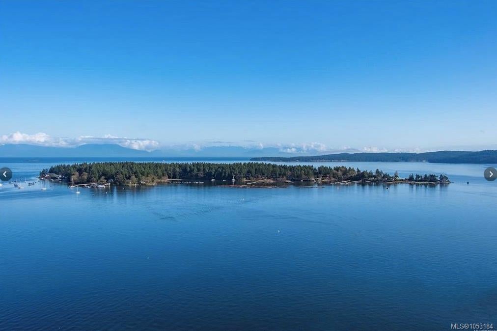 19 CAPTAIN MORGANS BLVD, PROTECTION ISLAND, BC V9R 6R1 - Image 353284273.jpeg?d=l