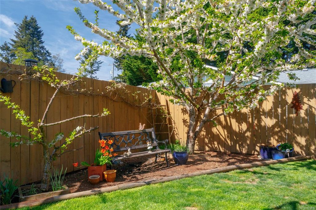 listing image 16040579461501579523