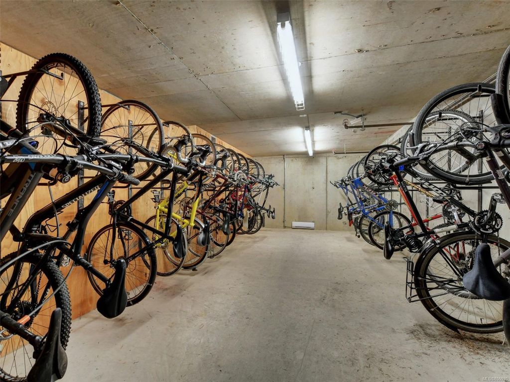 listing image 16048051776883262689