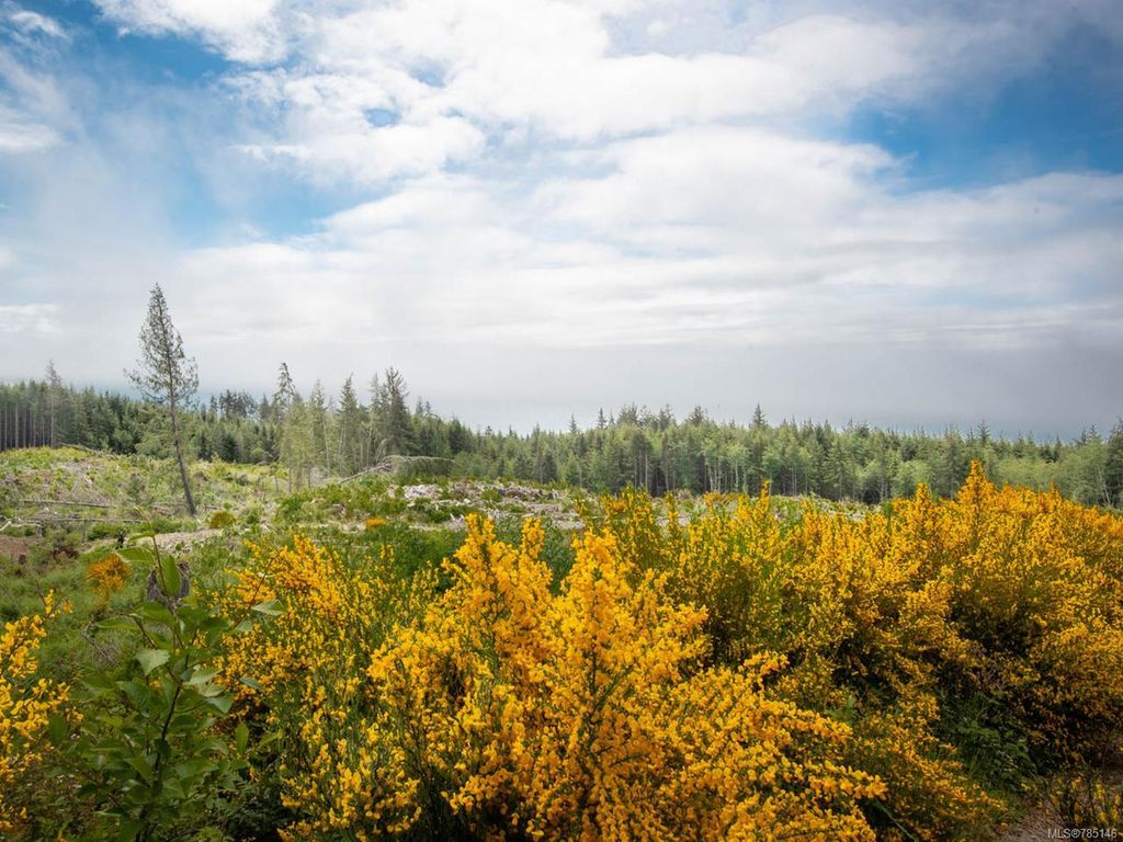 listing image 16042866746471