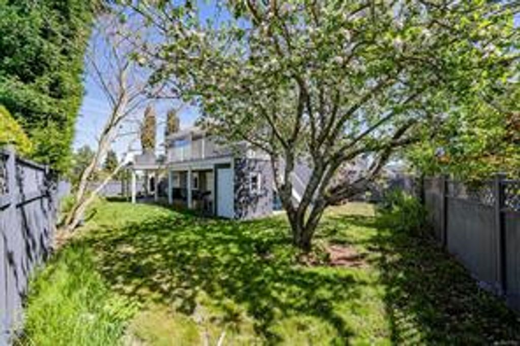 listing image 16041548228545956391