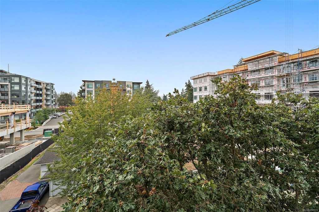 listing image 16042965855844