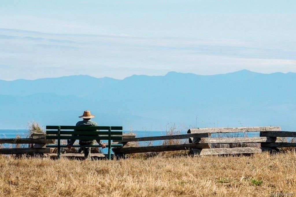 listing image 16042379882870662125