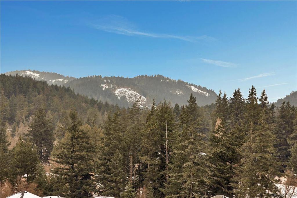 listing image 16043786523109913013