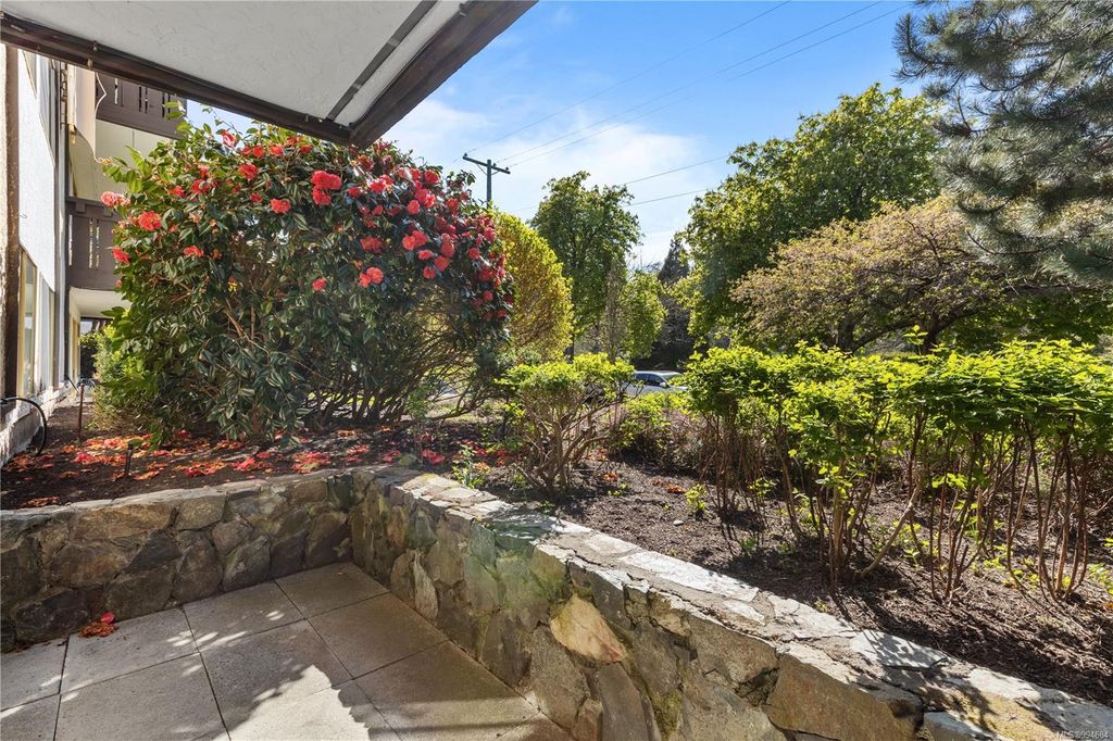 listing image 16043966839049916660