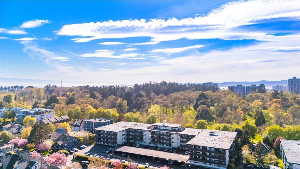 listing image 16045632974005405435