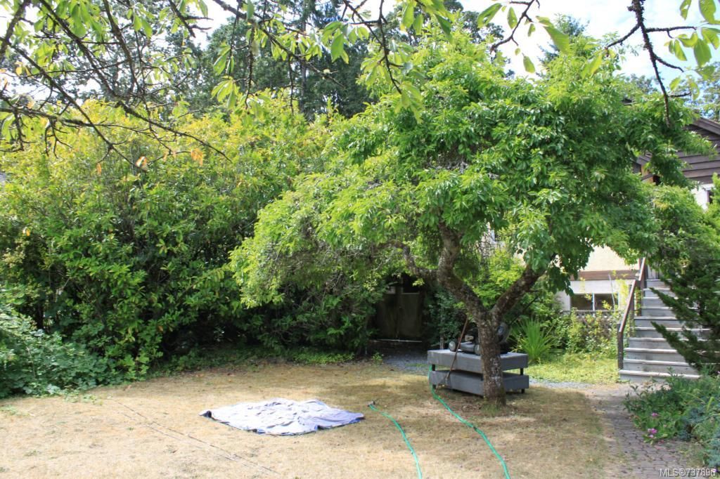 listing image 16048618296421839540