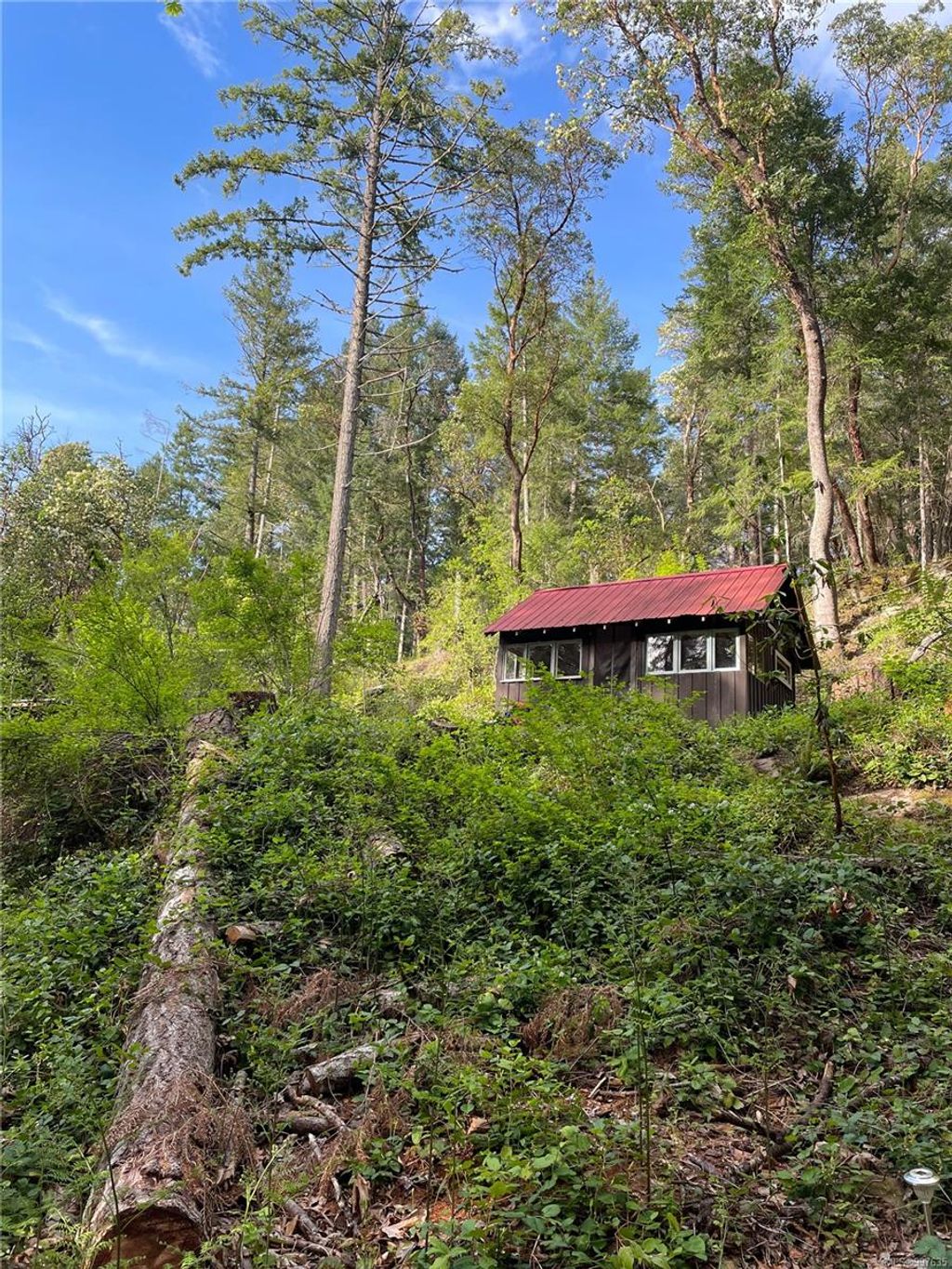 listing image 16041733305513257424