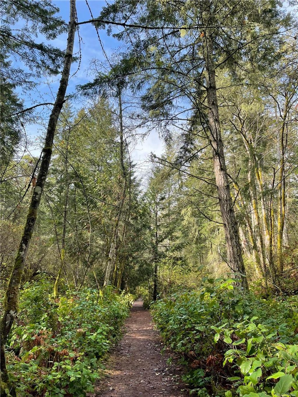 listing image 16045657106078889167