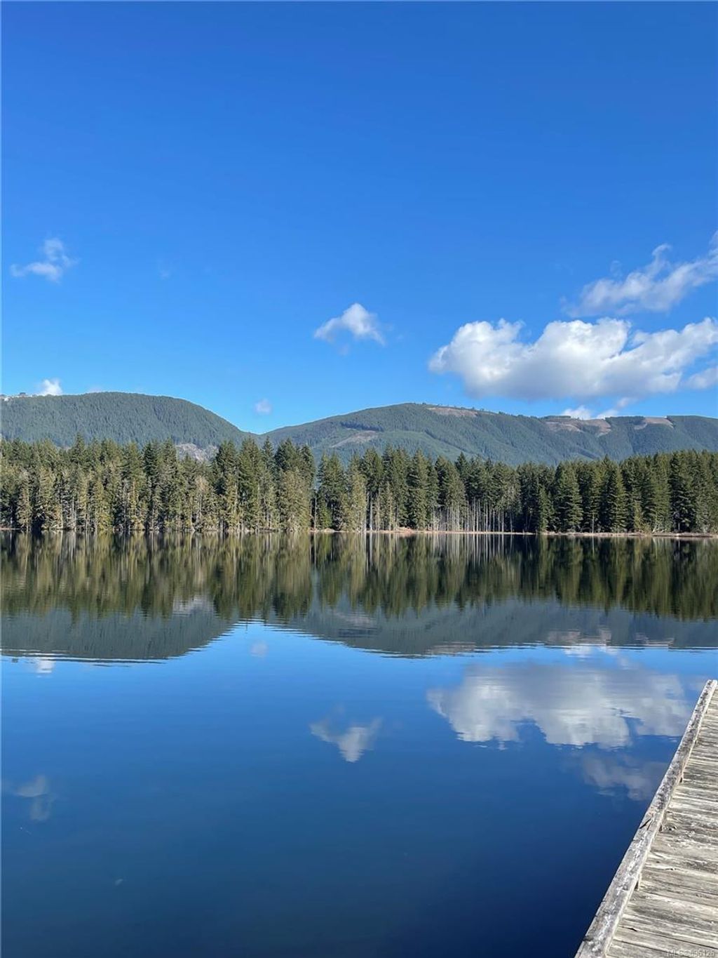 listing image 16042566262508