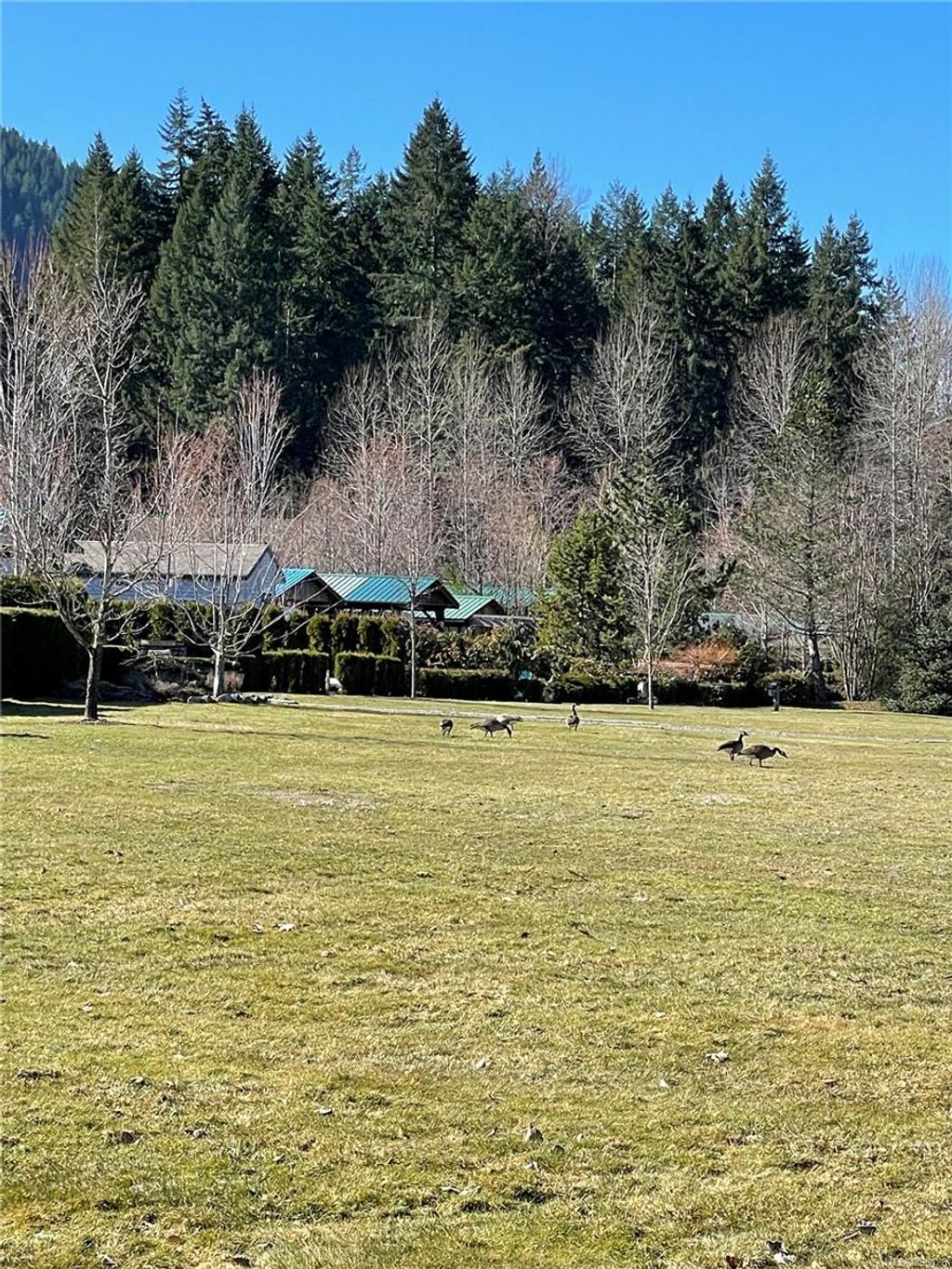 listing image 16043887920911