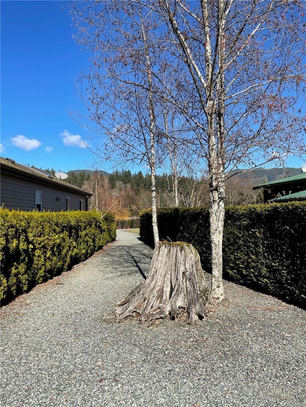 listing image 16044112743569