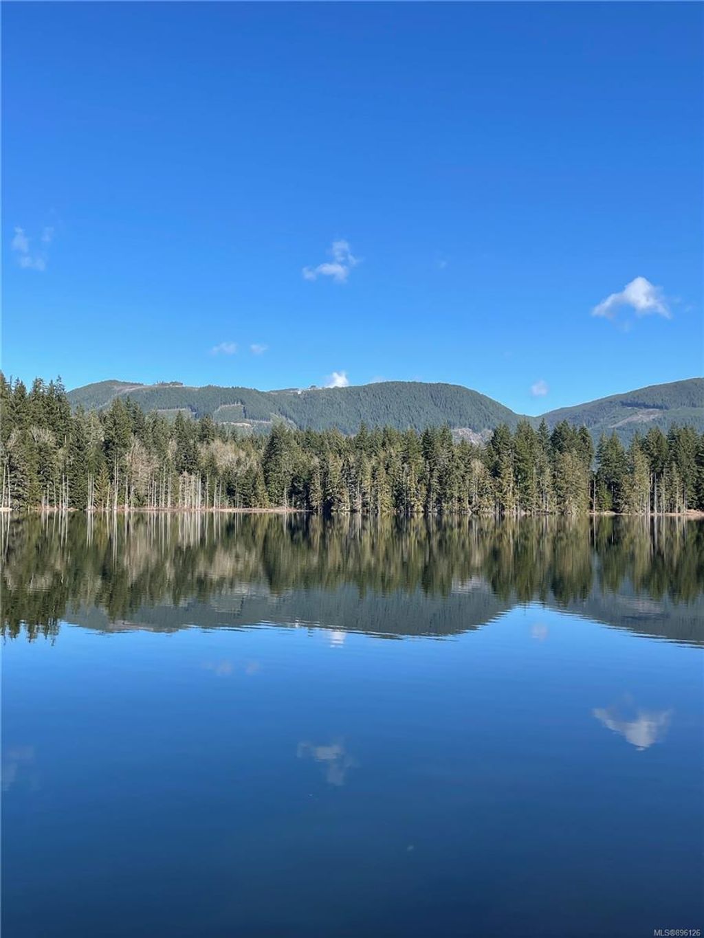 listing image 16041403024713