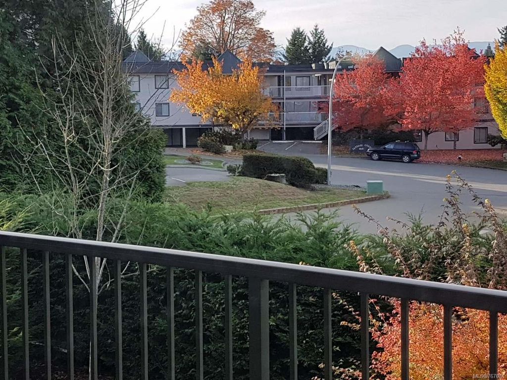 listing image 16045021103010194320