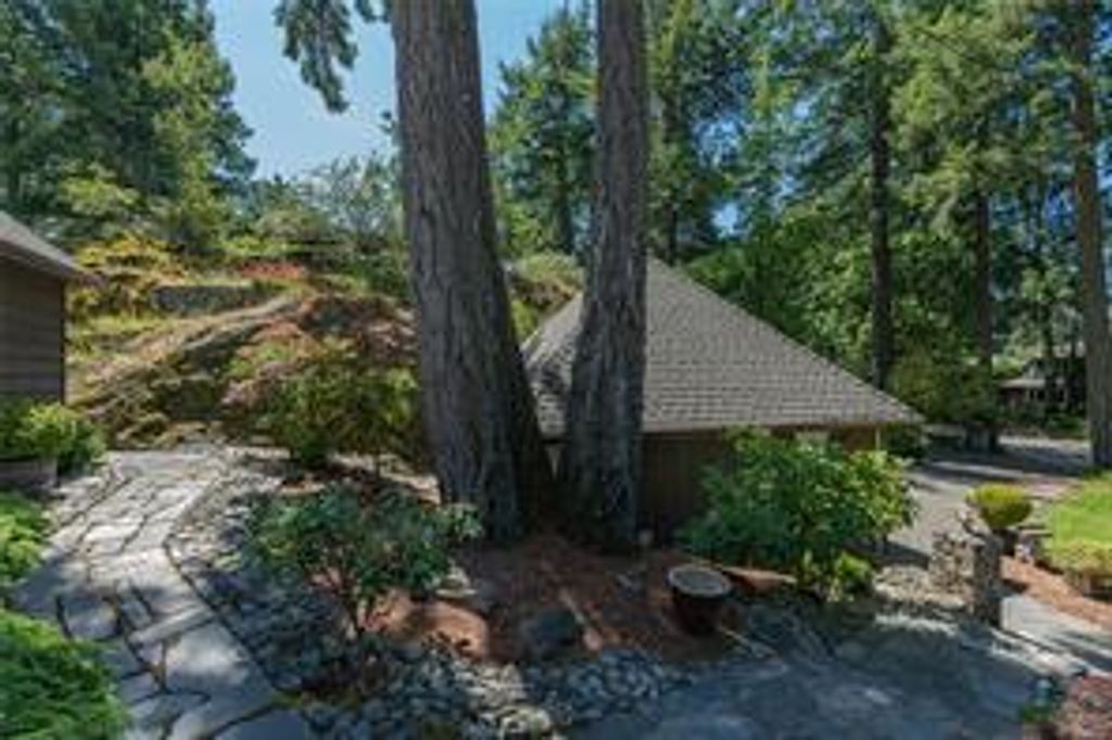 listing image 16043224018047351737