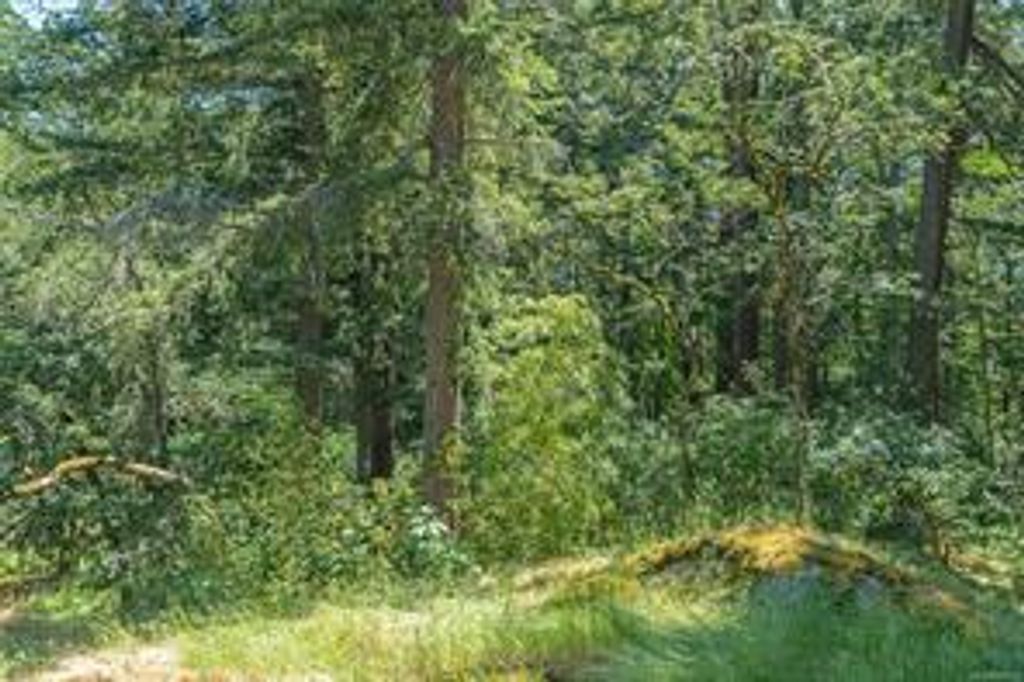 listing image 16043960379973230044