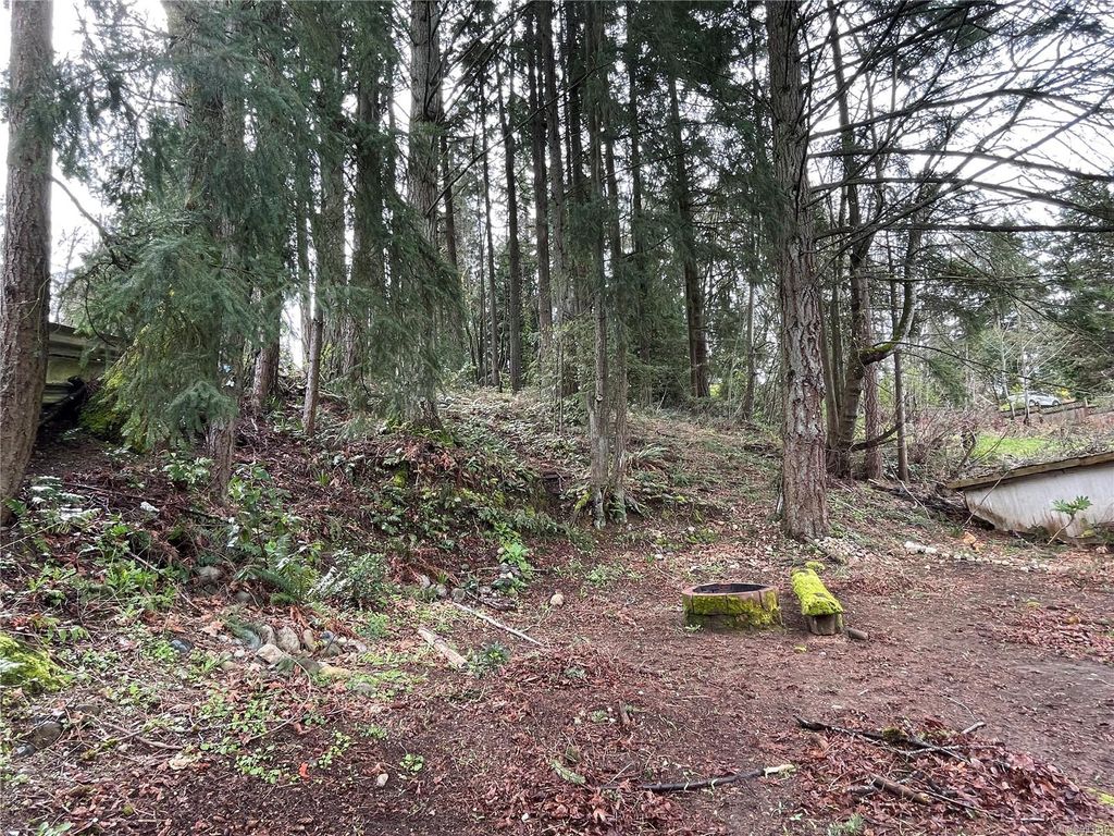 listing image 16046280317766402568
